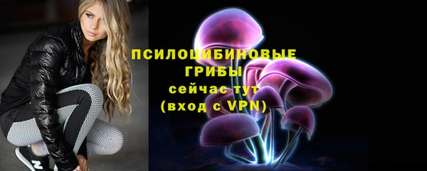 круглые Вяземский