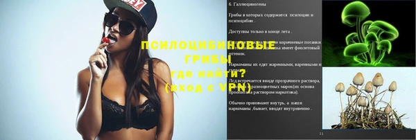 альфа пвп Горнозаводск