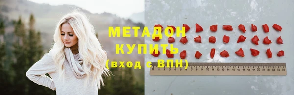 амф Гусев