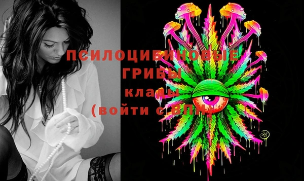 круглые Вяземский