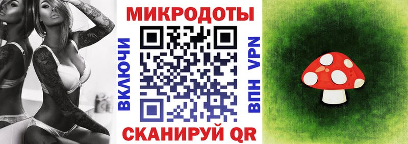 omg зеркало  Данков  Псилоцибиновые грибы Psilocybine cubensis  как найти наркотики 
